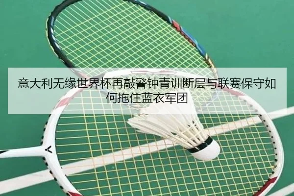 意大利无缘世界杯再敲警钟青训断层与联赛保守如何拖住蓝衣军团